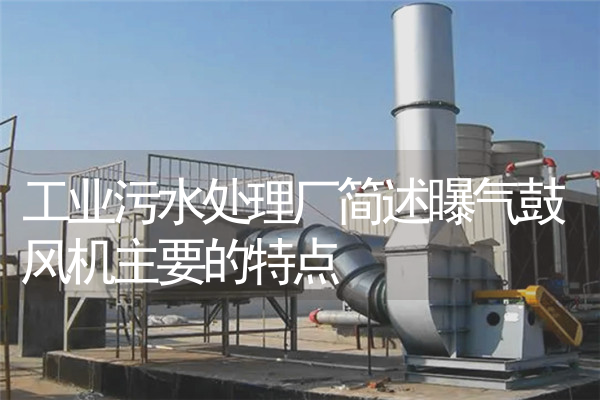 工业污水处理厂简述曝气鼓风机主要的特点