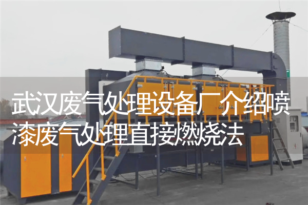 武汉废气处理设备厂介绍喷漆废气处理直接燃烧法