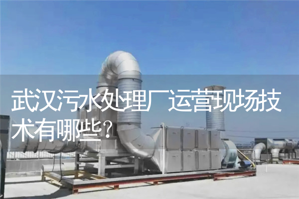 武汉污水处理厂运营现场技术有哪些？