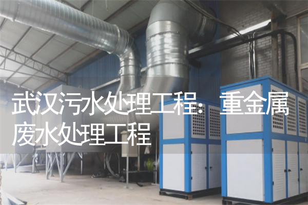 武汉污水处理工程：重金属废水处理工程