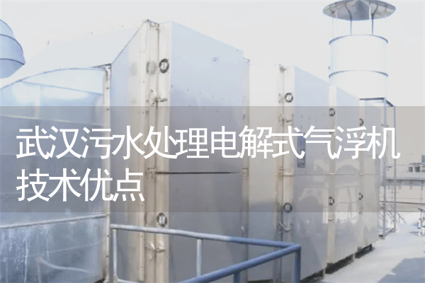 武汉污水处理电解式气浮机技术优点