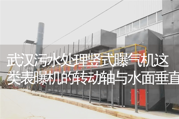 武汉污水处理竖式曝气机这类表曝机的转动轴与水面垂直
