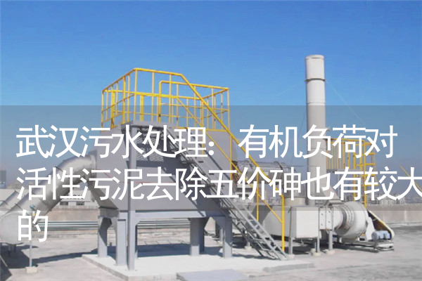 武汉污水处理：有机负荷对活性污泥去除五价砷也有较大的
