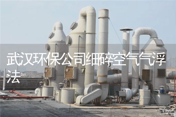 武汉环保公司细碎空气气浮法