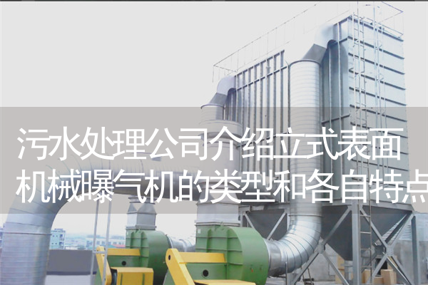 污水处理公司介绍立式表面机械曝气机的类型和各自特点