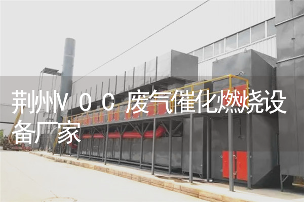 荆州VOC废气催化燃烧设备厂家